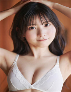 《向导》
