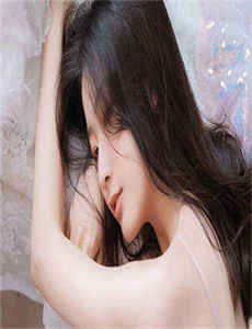 《熊出没全集》