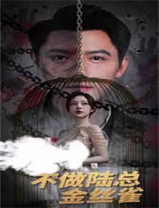 范德沃克 第二季